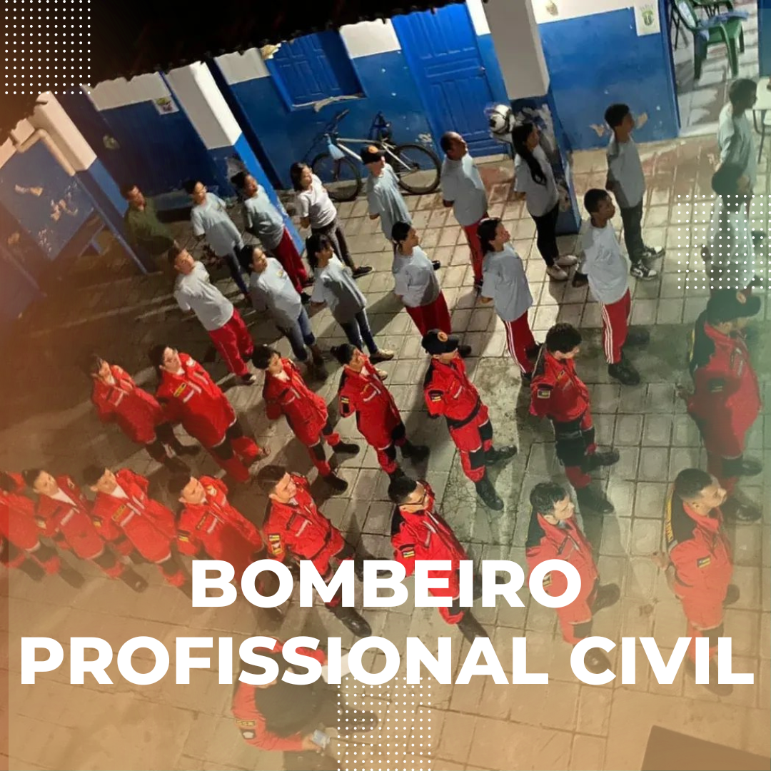Bombeiro Profissional Civil1