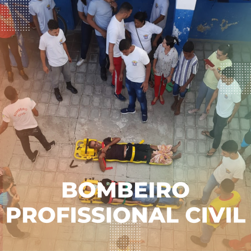 Bombeiro Profissional Civil2